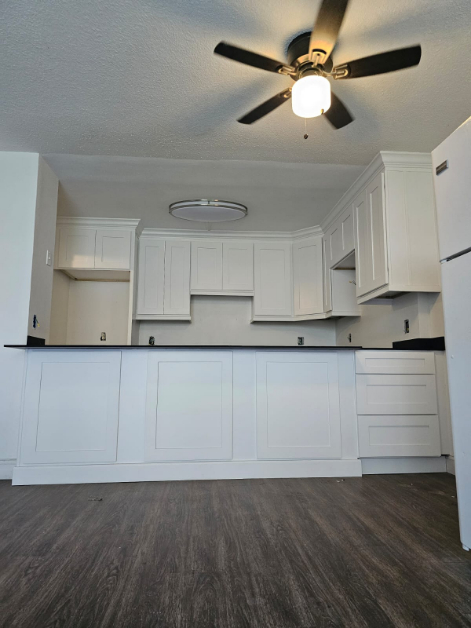 Contact Big Daddy Builders